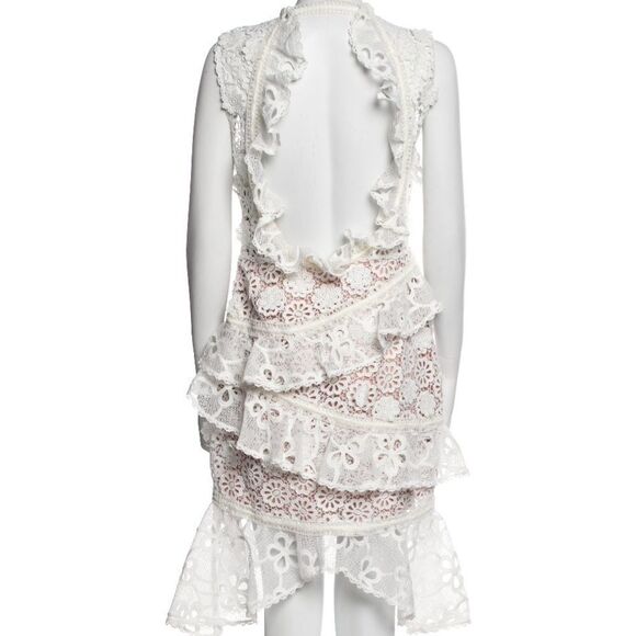 Alexis Lace Dress - Picture 6 of 10